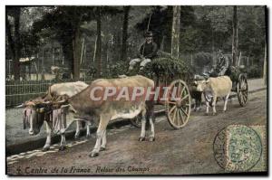 Old Postcard France coupling the center Return to Oxen fields