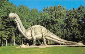 Dinny the Dinosaur Park St George's Island Calgary Alberta Canada postcard