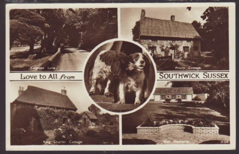 Multiview,Dogs,Southwick,Sussex,UK Postcard 