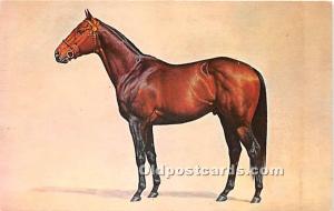 Gallant Man, Mr Comb's Spendthrift Farm Horse Racing Unused 