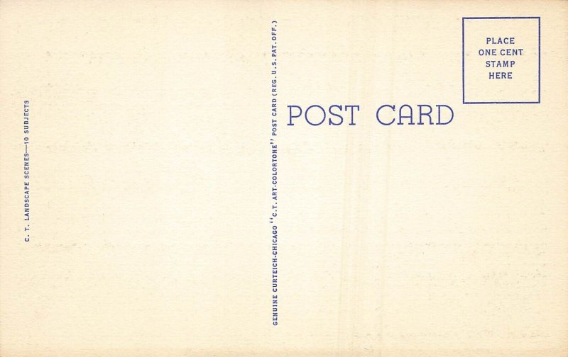 ROCHESTER MICHIGAN GREETINGS FROM POSTCARD 1940s