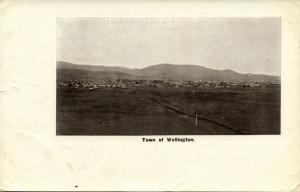 new zealand, WELLINGTON, Town View (1910s) Postcard