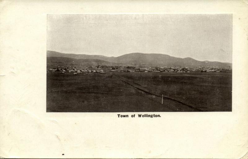 new zealand, WELLINGTON, Town View (1910s) Postcard 