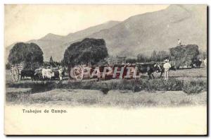 Postcard Old Trabajos de Campo hitch Oxen Spain