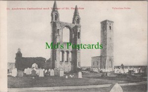 Scotland Postcard - St Andrews Cathedral & Tower of St Regulus   RS36071