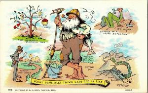 Robbins Comic What Some Folks Think Cape Cod Is Like Vintage Postcard R10