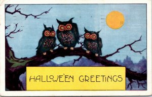 Vintage Postcard Halloween Greetings 3 Owls on Tree Full Moon Whitney 1920 R1