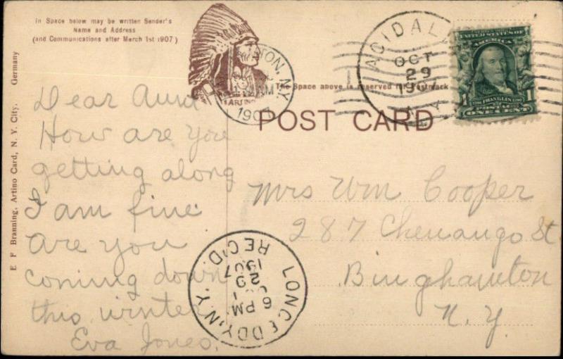 Long Eddy NY Ferry Boat & Horses c1910 Postcard