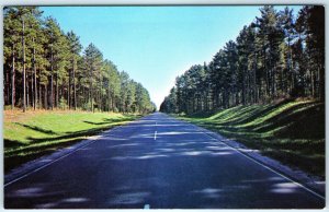 c1960s Pub Grand Rapids, MN Avenue of Pines Highway Scenic Trees Chrome PC A315