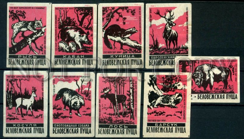 500650 USSR BELARUS animals Bialowieza Forest Old match labels