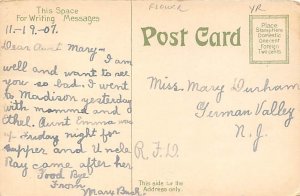 Pink Roses Pink Roses