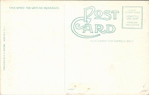 Postcard NY Albany South Pearl Street Coca Cola Sign Street View ~1910 B3