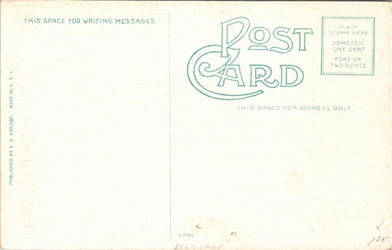 Postcard NY Albany South Pearl Street Coca Cola Sign Street View ~1910 B3