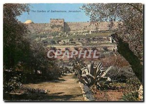 Modern Postcard The Garden of Gethsemane Jerusalem