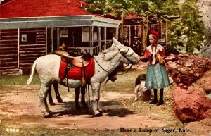 Donkeys Have A Lump Of Sugar Kate 1910