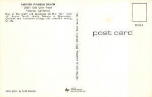 YUCAIPA, CA California   PARRISH PIONEER RANCH~Apple Ranch   Chrome Postcard