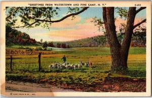 Shepherd and Sheep, Greetings from Watertown and Pine Camp NY Vtg Postcard B61