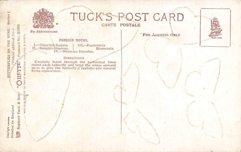 Foreign Moths Foreign Moths