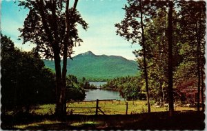 Mt Chocorua NH Legend Mountain Old House Lake VTG Postcard PM Manchester Cancel 