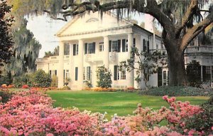 Orton Plantation near Wilmington - Wilmington, North Carolina NC  