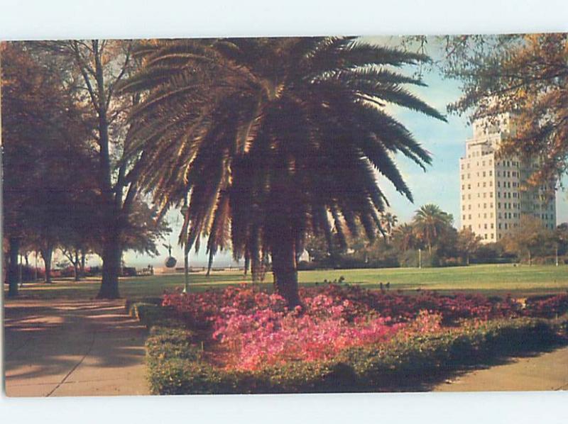 Pre-1980 PARK SCENE Jacksonville Florida FL H3016