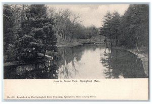 Scenic View Of Lake In Forest Park Springfield Massachusetts MA Antique Postcard