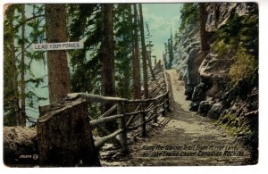 LEAD YOUR PONIES, Along Glacier Trail, Mirror Lake to Lake Louise, Alberta