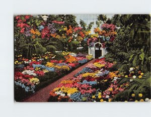 Postcard Interior Of Greenhouse, Shaw's Garden, St. Louis, Missouri
