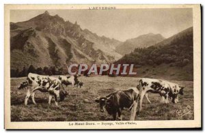 Old Postcard Le Mont Dore Landscape Vallee D & # 39enfer Cows