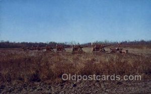 Soy Bean Harvest Farming Unused 