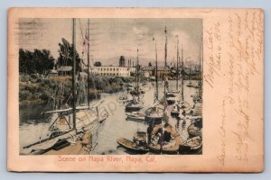 J99/ Napa California Postcard c1910 Napa River Sailboats 114