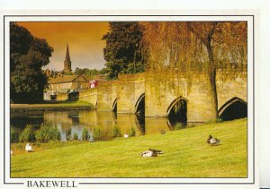 Derbyshire Postcard - The Bridge and River Wye - Bakewell  - Ref TZ34