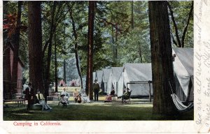 US    PC5534 CAMPING IN CALIFORNIA 1907