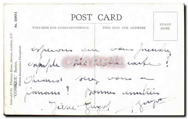 Postcard Old Who to be a lonely bachelor who wants to remain unmarried Dogs H...