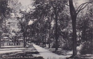 The Campus U Of M Ann Arbor Michigan 1906