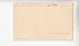 BF19095 le grammont les dents d territet montreux switzerland  front/back image