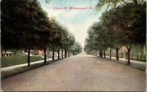 Vtg 1910s Elmira Street Williamsport Pennsylvania PA Postcard