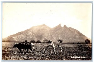 Escena Tipica Farming Typical Scene Monterrey Mexico Vintage RPPC Photo Postcard 