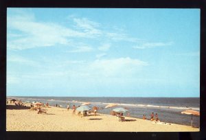 Ocean City, Maryland/MD Postcard, Bathers At Beach, Umbrellas