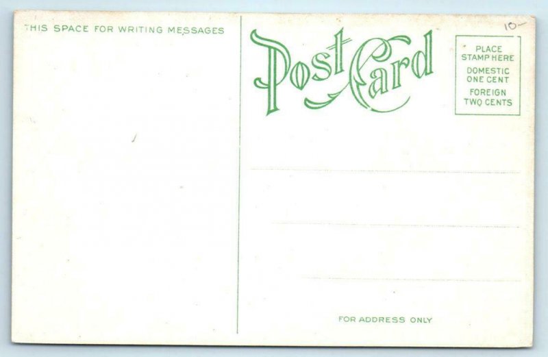 CEDAR RAPIDS, Iowa IA ~ CITY HALL 1908 Linn County Postcard