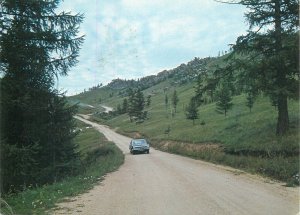 Mongolia postcard dogs topical franking stamp 1978