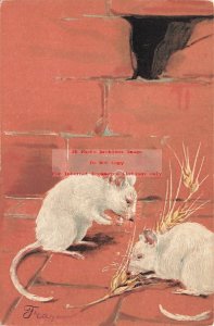 PFB No 2321, White Mice or Rats Eating Wheat