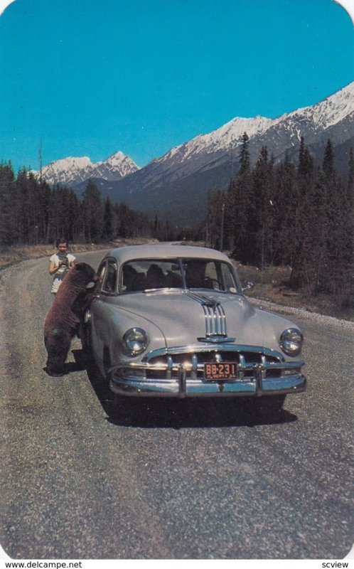 KOOTENAY, British Columbia, KOOTENAY NATIONAL PARK, 50-60s