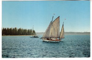 Sailing Near, St Andrews, New Brunswick