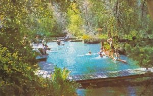 Alaska Liard Hot Springs Swimming Pool