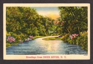 NY Greetings from DEER RIVER NEW YORK Postcard Linen PC
