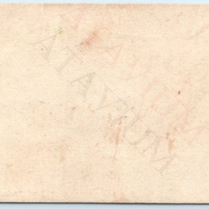 c1880s Adolph Wiebers Calling Trade Name Card Mexican Fleabane Beresford, SD C45