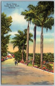 Hamilton Bermuda 1951 Postcard Royal Palms South Shore Road