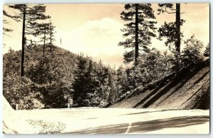 c1930-50 Mt Shasta Sweetbrier Ave Castella California Rppc Real Photo Postcard 