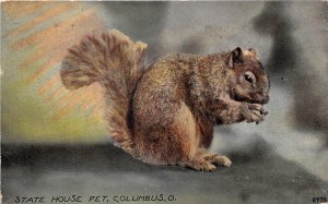 Columbus Ohio 1916 Postcard State House Pet Squirrel 